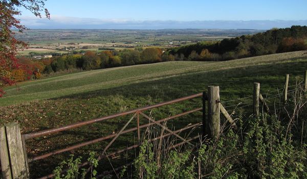 Image of countryside landscape